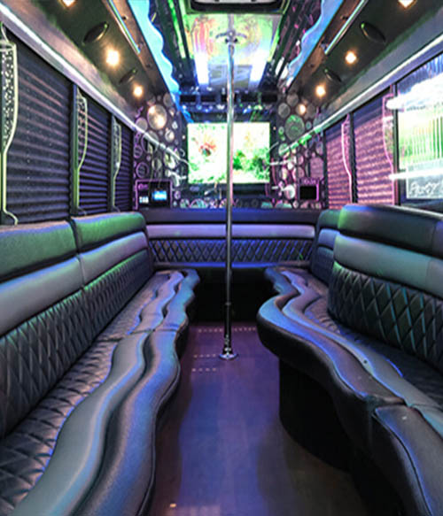 Sound system on limo bus