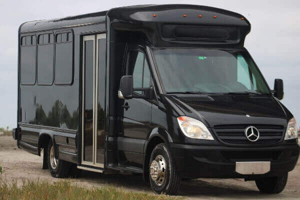 St petersburg Mercedes Sprinter vans