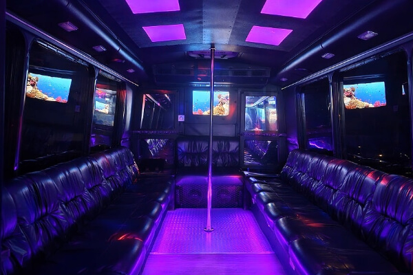 18-passenger party bus in St Petersburg