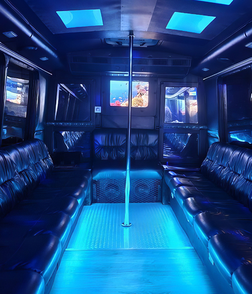 Sound system on limo bus